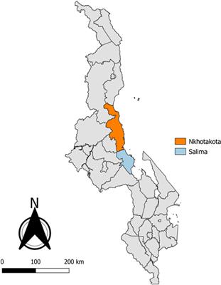 Effects of seed treatment on cassava stake performance, whitefly population, disease incidence, and yield performance of cassava (Manihot esculenta Crantz) in Malawi